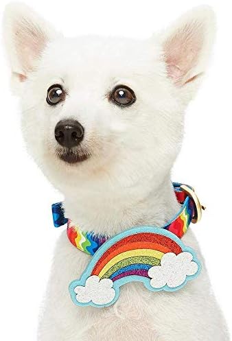 Blueberry Pet Rainbow Ripple Dream Adjustable Dog Collar with Blingy Décor, Neck 9-12.5", for Small Breed