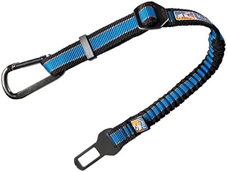 Kurgo Direct to Seatbelt Bungee Tether, Blue