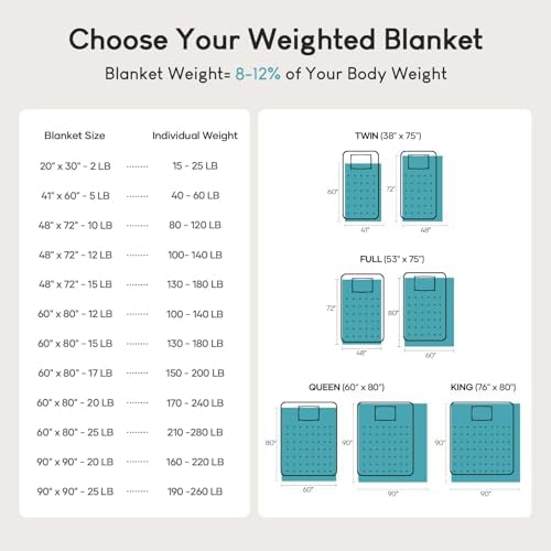 Cottonblue Sherpa Fleece Weighted Blanket for Adults Queen Size 15lbs 60x80