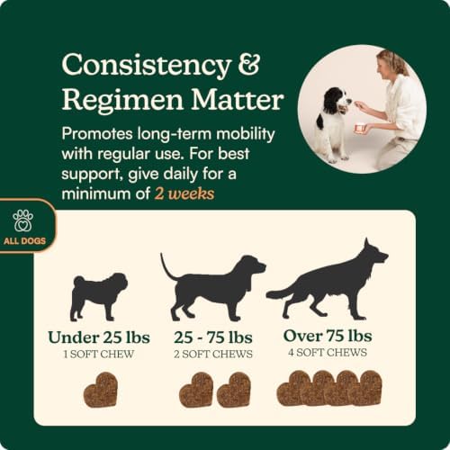 Reggie Hip & Joint Supplements for Dogs | Glucosamine, MSM & Chondroitin for Mobility, Cartilage & Pain Relief | Natural Dog Joint Support Chews | Vet-Approved & Made in USA | 60 Soft Chews