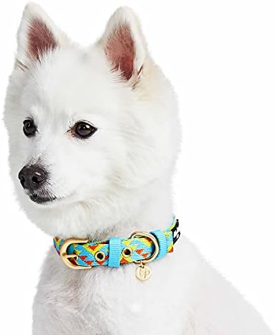 Blueberry Pet Southwestern Tribal Triangles River Blue Adjustable Dog Collar with Metal Buckle, Neck 19.5-26", for Large Breed