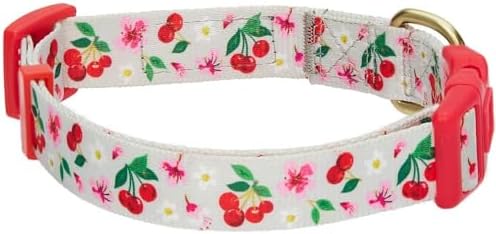 Blueberry Pet 7 Patterns Cherry Garden Grey Adjustable Dog Collar with Dainty Flowers, Large, Neck 18"-26"