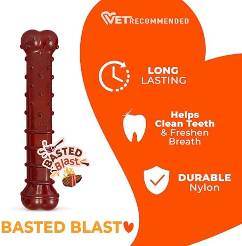 Nylabone Power Chew Basted Blast Dog Chew Toy, Bacon & Steak Flavor, Large | Durable dog toys for aggressive chewers, long lasting, discourages destructive chewing, for large dogs up to 50 lbs