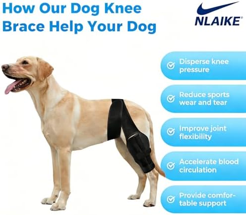 Dog ACL Braces Hind Leg with Side Stabilizers,Dog Knee Brace for Torn ACL