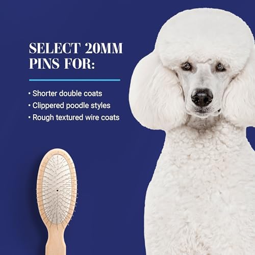 Chris Christensen 20 mm Oval Pin Dog Brush, Stainless Steel, Brown, Oval
