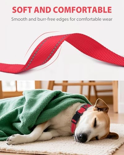 Joytale Feather-Light Dog Collar for Medium & Large Dogs, 1", Red