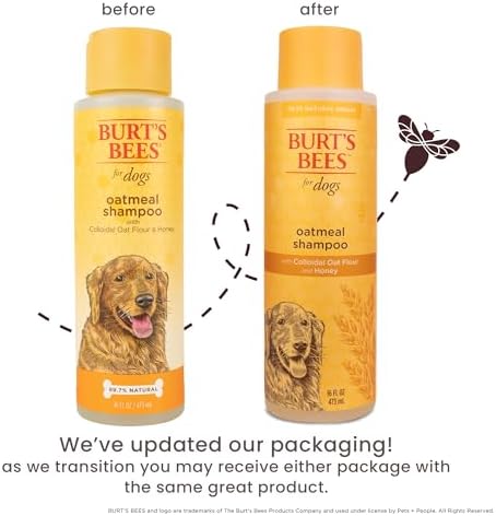 Burts Bees for Pets Oatmeal Dog Shampoo with Honey, 16 Fl Oz, 6-Pack | Soothing colloidal oat flour formula for itchy, sensitive dog skin, pH-balanced and sulfate-free for regular use