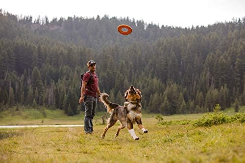 Ruffwear Hydro Plane Flying Disc Dog Toy, Large, 12in, Purple Orchid