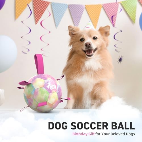 QDAN Dog Balls, Dog Soccer Ball with Straps,Puppy Girl Dog Toys, 6 Inch | Pink Puppy Toy Balls for Small Medium Dogs, Outdoor Dog Water Pool Toys, Dog Soccer Ball Toy, Pet Birthday Gifts, Rainbow