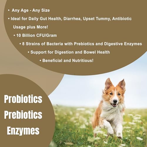 Dogzymes Probiotic Max -10 Billion CFU's Probiotics, Prebiotics, Digestive Enzymes - Relieves Diarrhea, Upset Stomach, Constipation, Gas, Allergy, Immunity & Overall Health 1 Pound