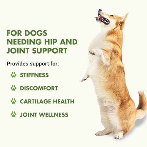 K9 Hip & Joint Advanced Formula, Chicken Flavor, 8 oz Trial Size BOGO