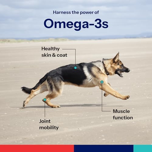 Covetrus Omega-3 Soft Gels for Large Dogs – Essential Fatty Acids with Vitamins A, E & D3 – Skin, Coat & Joint Supplement – 250 Count