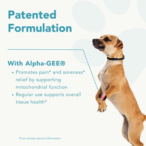 Mobility Support Capsules for Small Dogs, Supports Recovery and Promotes Healthy Joints and Muscles from Activity-Induced Discomfort, 90 Count