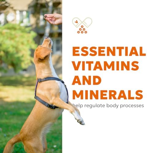 Daily 10-in-1 Dog Wellness Chews – Joint, Gut, Immune, Skin & Coat, Energy & Vitality Support – Glucosamine, Probiotics, Salmon Oil & Turmeric – 60 Soft Chews