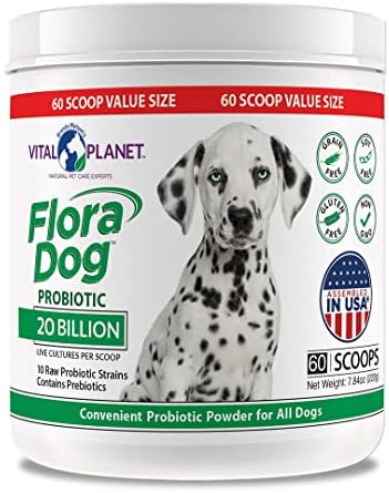 Vital Planet - Flora Dog Probiotic Powder Supplement with 20 Billion Cultures and 10 Strains, High Potency Immune and Digestive Support Probiotics for Dogs, 7.84 oz., 222 Grams, 60 Servings