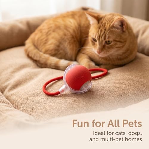 Interactive Pet Toy Ball, 2026 Automatic Dog Toy Interactive Dog Cat Toy Ball Dog & Cat Electric Active Toys, Smart Chase Pet Toy Ball for Dogs for Large Small Dogs Motion Activated (Red)