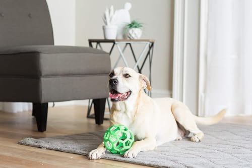 JW Pet HOL-ee Roller Dog Toy 6.5-Inch Bundle