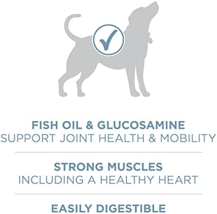 Purina ONE Plus Joint Health Dry Dog Food, Chicken, 16.5 lb Bag