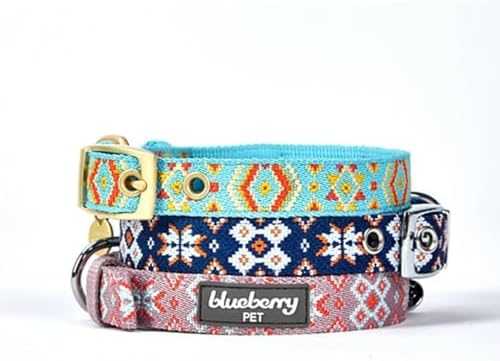 Blueberry Pet Southwestern Modern Tribal Print Thistle Braided Adjustable Dog Collar with Metal Buckle, Neck 13-16.5", for Medium Breed