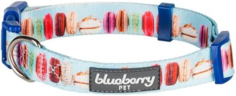Blueberry Pet Essentials The Ultimate Macaroon Cake Adjustable Dog Collar, Medium, Neck 14.5"-20"
