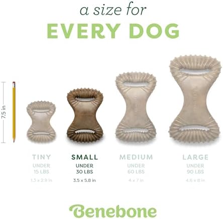 Benebone Dental Durable Dog Chew Toy for Aggressive Chewers, Real Bacon, Made in USA, Small