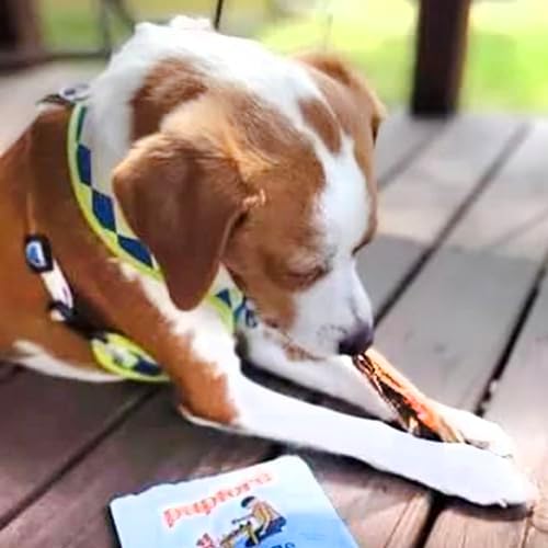 Pupford Beef Tendons for Dogs & Puppies, Teething Chew (Standard, 4 Count)