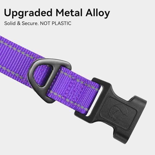 Joytale Reflective Dog Collar, Adjustable Neoprene Padded, Purple S