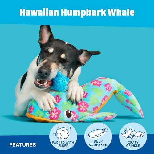BarkBox Hawaiian Humpbark Whale Dog Toy - Fun for Dogs | Plush Hibiscus Whale Toy with Deep Grunt Squeaker, Fluff and Whip-N-Flip Fins