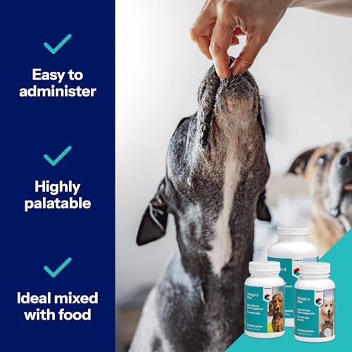 Covetrus Omega-3 Soft Gels for Large Dogs – Essential Fatty Acids with Vitamins A, E & D3 – Skin, Coat & Joint Supplement – 250 Count