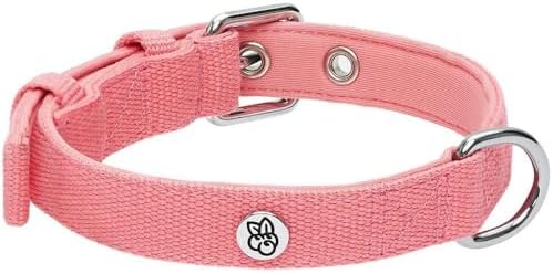 Blueberry Pet New Classic Modern Iconic Neoprene Padded Dog Collar Carnation Pink/Large