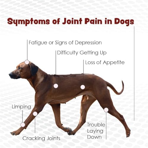 PHS Joint MAX Triple Strength (TS) Chewable Tablets for Dogs - Glucosamine, Chondroitin, MSM - Vitamins, and Antioxidants - Hip and Joint Pain Relief and Support Supplement - Made in USA - 120 Tablets