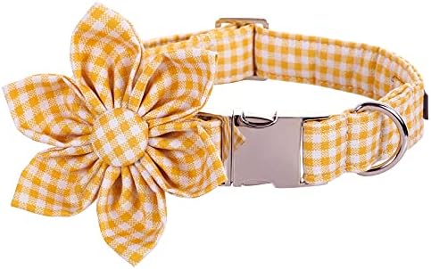 Lionet Paws Dog Collar with Flower, Soft and Comfortable, Adjustable Collar for Small Dogs Girl, Neck 10-16 inches