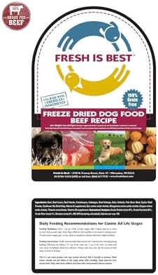 Fresh Is Best Beef Freeze Dried Dog Food – Raw Dog Food Toppers for Puppies & Adult Canines – High-Protein Freeze Dried Beef in Resealable Zipper Bag – Made in the USA – Beef, 8 oz