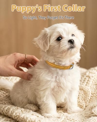 Joytale Feather-Light Puppy Collar for Extra Small Dogs, 3/8", Khaki