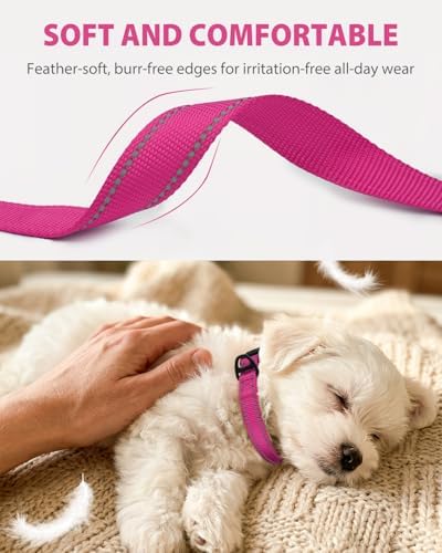 Joytale Feather-Light Dog Collar for Small & Medium Dogs, 3/4", Hotpink