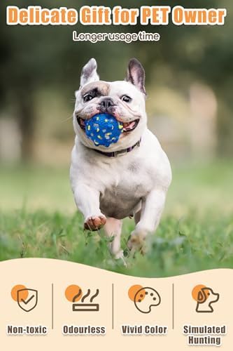Moonorange Dog Tennis Balls, Floating, Yellow+Blue Mixed, Large