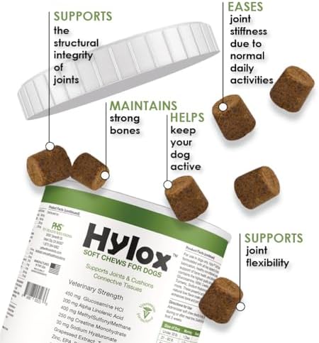 Soft Chews for Dogs – Joint Support with Glucosamine, MSM, Creatine, Hyaluronic Acid, Turmeric, EPA & DHA – Supports Joints & Cushions Connective Tissues – NASC Certified – 240 Soft Chews