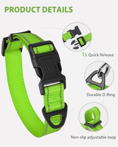 Joytale Feather-Light Dog Collar for Small & Medium Dogs, 3/4", Green