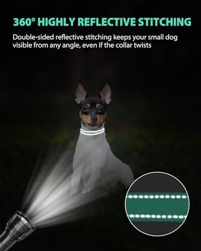 Joytale Feather-Light Puppy Collar for Extra Small Dogs, 3/8", Turquoise