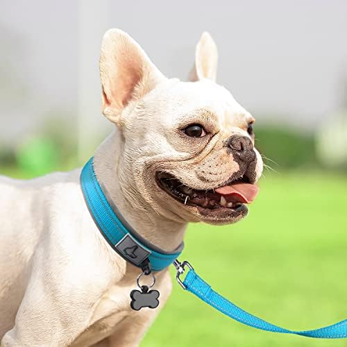 Joytale Reflective Dog Collar for Small Dogs with Wide Padding, Sky Blue