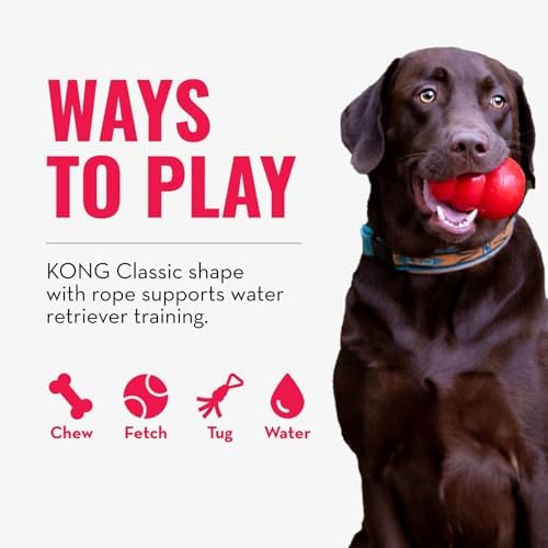KONG Aqua Floating Fetch Toy, Natural Rubber, Orange, for Medium Dogs | Floating KONG Natural Rubber Water Toy with Foam Interior & Rope for Farther Throwing & Easy Retrieval Play