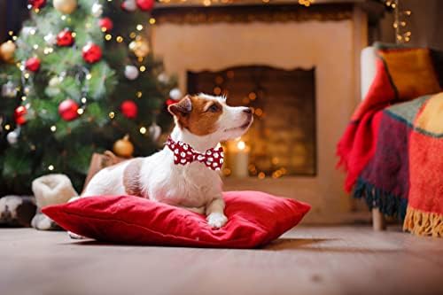 Lionet Paws Christmas Dog Collar with Bowtie, Dog Bowtie Collar with Metal Buckle for Dogs and Cats, Adjustable Comfortable Dog Collar Girl Boy Gift Santa Claus, S, Neck 10-16 in