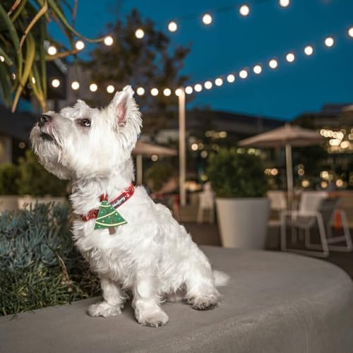 Blueberry Pet Festive Christmas Tree & Snowman Dog Collar, Small Adjustable 12"-16", Eco-Friendly Glitter Décor Holiday Collar for Small Dogs