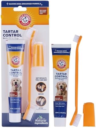 Arm & Hammer Tartar Control Dog Dental Kit, Beef Flavor, 3-Piece | Enzymatic toothpaste with toothbrush and fingerbrush, baking soda formula safe for puppies