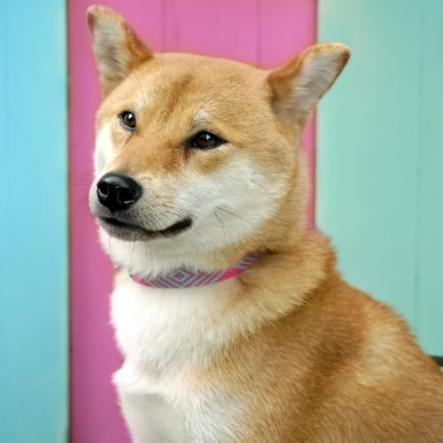 Blueberry Pet Southwestern Tribal Lozenges Stylish Red Adjustable Dog Collar with Metal Buckle, Neck 9-12.5", for Small Breed
