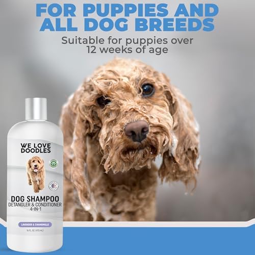 Dog Shampoo, Conditioner & Detangler, Hypoallergenic Tearless Lavender 16OZ | For Sensitive Itchy Skin, Hypoallergenic, Tearless, Best Shampoo For Smelly Dogs, Goldendoodle, Poodle & Doodle, Made in USA