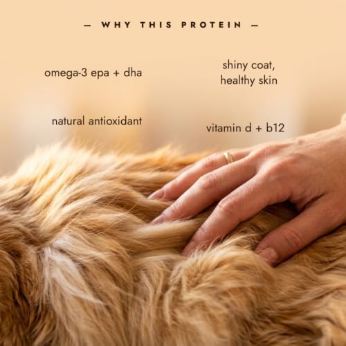 Freeze-Dried Wild Caught Salmon Treats for Cats & Dogs — Single Ingredient, 100% Salmon, Grain-Free Omega-Rich Treat & Food Topper, 1.76 oz (50g)
