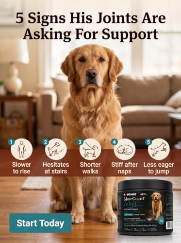 Adult/Senior Dog Hip & Joint Supplement Chews, Glucosamine for Dog