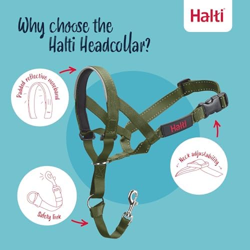 Halti Headcollar | Size 1, Forest Green | Training Collar for Small Dogs