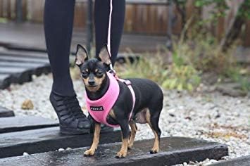 Puppia Soft Dog Harness No Choke Over-The-Head Triple Layered Breathable Mesh Adjustable Chest Belt and Quick-Release Buckle, Green, Small